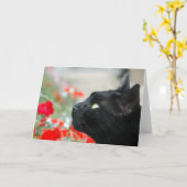 Groeten Kaart - Kijken (Gele Bloem)