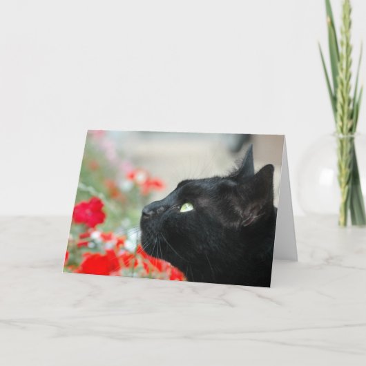 Groeten Kaart - Kijken (Voorkant)