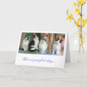 Groeten Kaart: Kitten line-up Kaart (Gele Bloem)