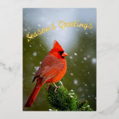 Groeten Kardinaal op Evergreen in Snow Folie Feestdagenkaart (Voorkant)