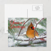 Groeten - Noordelijke kardinaal in besneeuwde denn Briefkaart (Voorkant / Achterkant)