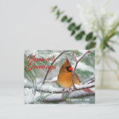 Groeten - Noordelijke kardinaal in besneeuwde denn Briefkaart (Staand voorkant)