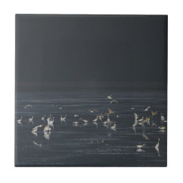 Groeten op de Midnight Blue Ocean Tegeltje