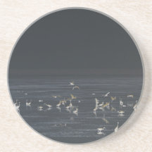 Groeten op de Midnight Blue Ocean