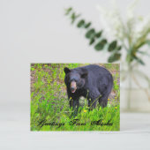 Groeten uit Alaska Briefkaart (Staand voorkant)