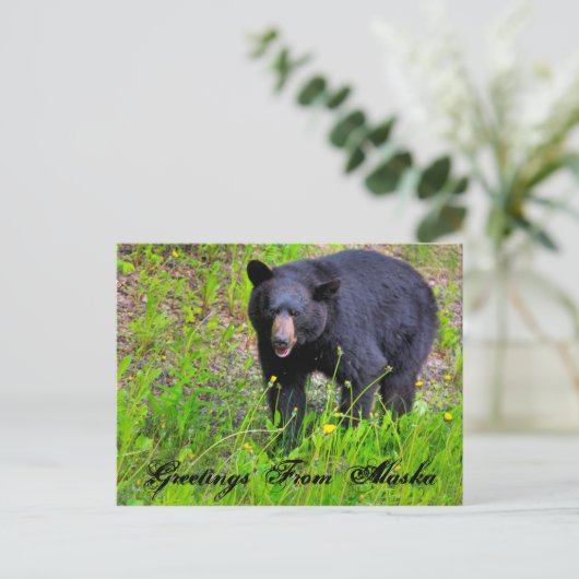 Groeten uit Alaska Briefkaart (Staand voorkant)