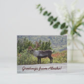 Groeten uit Alaska! Briefkaart (Staand voorkant)