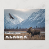 Groeten uit Alaska Moose en Bald Eagle Briefkaart (Voorkant)