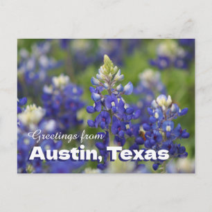 Groeten uit Austin Texas Bluebonnets Ansichtkaart Briefkaart