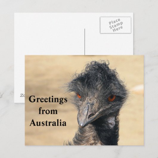 Groeten uit Australië Briefkaart (Voorkant / Achterkant)