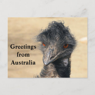 Groeten uit Australië Briefkaart