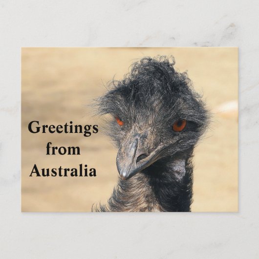 Groeten uit Australië Briefkaart (Voorkant)