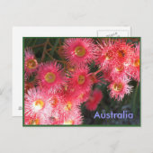 Groeten uit Australië Briefkaart (Voorkant / Achterkant)