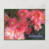 Groeten uit Australië Briefkaart (Voorkant)