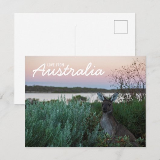 Groeten uit Australië Kangoeroe Zonsondergang Meer Briefkaart (Voorkant / Achterkant)