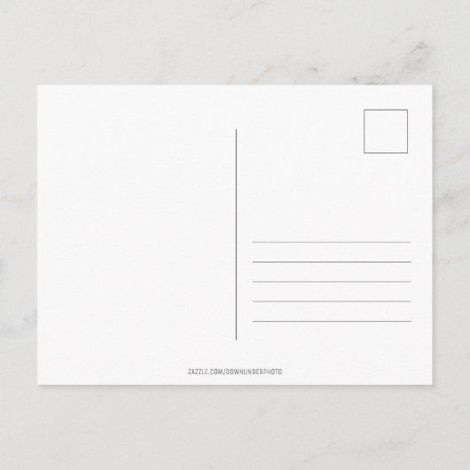 Groeten uit Australië Kangoeroe Zonsondergang Meer Briefkaart (Achterkant)