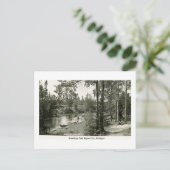 Groeten uit Boyne City, MI. Geviste forel Briefkaart (Staand voorkant)