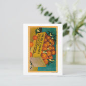 Groeten uit Californië, Box OrangeState Briefkaart (Staand voorkant)