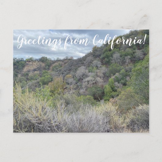 Groeten uit Californië! Briefkaart (Voorkant)