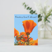 Groeten uit Californië! Briefkaart (Staand voorkant)