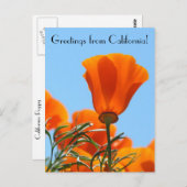 Groeten uit Californië! Briefkaart (Voorkant / Achterkant)