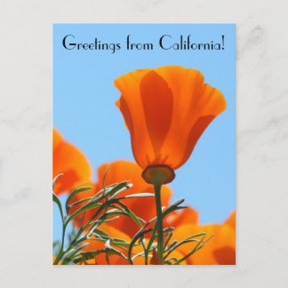 Groeten uit Californië! Briefkaart