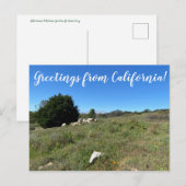 Groeten uit Californië! Briefkaart (Voorkant / Achterkant)
