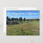 Groeten uit Californië! Briefkaart (Voorkant / Achterkant)