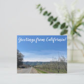 Groeten uit Californië: Putah Creek Road Briefkaart (Staand voorkant)