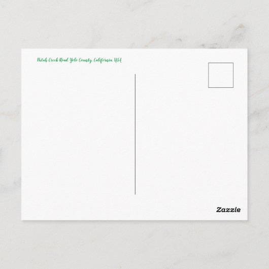 Groeten uit Californië: Putah Creek Road Briefkaart (Achterkant)