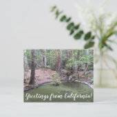 Groeten uit Californië: Redwood Forest Bathe Briefkaart (Staand voorkant)