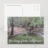 Groeten uit Californië: Redwood Forest Bathe Briefkaart (Voorkant / Achterkant)
