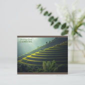 Groeten uit Cambodja - Rijstveld Briefkaart (Staand voorkant)