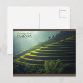 Groeten uit Cambodja - Rijstveld Briefkaart (Voorkant / Achterkant)