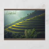 Groeten uit Cambodja - Rijstveld Briefkaart (Voorkant)
