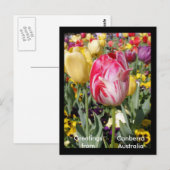 Groeten uit Canberra Australië Briefkaart (Voorkant / Achterkant)