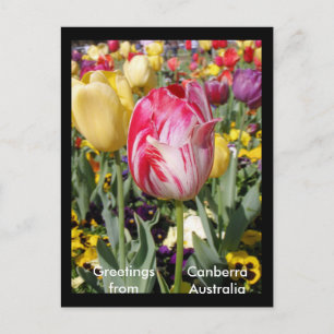 Groeten uit Canberra Australië Briefkaart