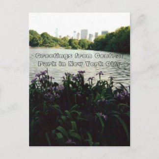 Groeten uit Central Park in New York City Briefkaart