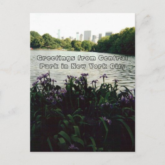 Groeten uit Central Park in New York City Briefkaart (Voorkant)