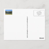 Groeten uit Colorful Colorado Briefkaart (Achterkant)