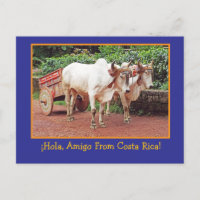 Groeten uit Costa Rica Briefkaart (ossen & oxcart)