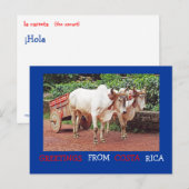 Groeten uit Costa Rica Briefkaart (ossen & oxcart) (Voorkant / Achterkant)