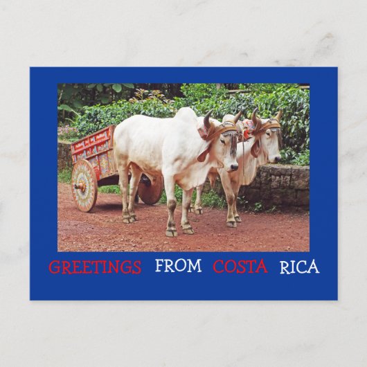 Groeten uit Costa Rica Briefkaart (ossen & oxcart) (Voorkant)