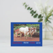 Groeten uit Costa Rica Briefkaart (ossen & oxcart) (Staand voorkant)