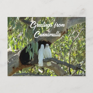 Groeten uit Cunnamulla Briefkaart
