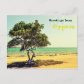 Groeten uit Cyprus Briefkaart (Voorkant)