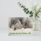 Groeten uit de Australische Alpen Briefkaart (Staand voorkant)