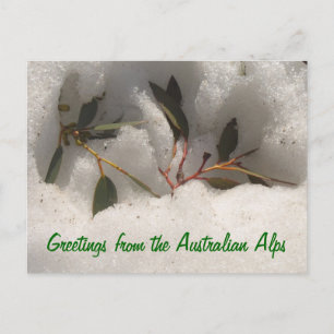 Groeten uit de Australische Alpen Briefkaart