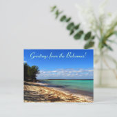 Groeten uit de Bahama's! Briefkaart (Staand voorkant)