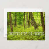 Groeten uit de Poconos-Bossen Briefkaart (Voorkant / Achterkant)